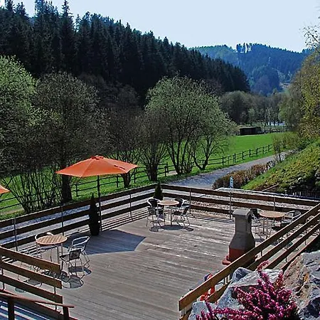 Apartment Wald