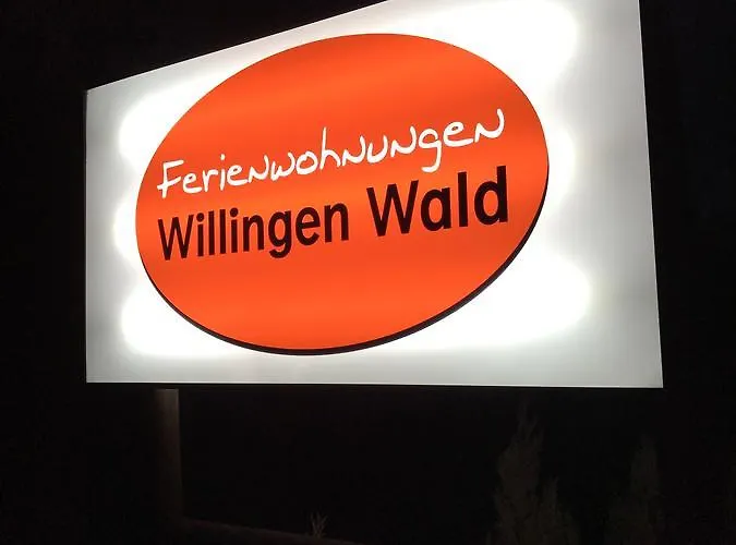 Wald Διαμέρισμα Willingen (Upland)